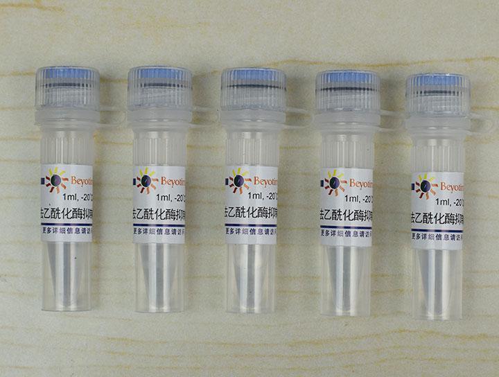 去乙酰化酶抑制剂混合物(100X)